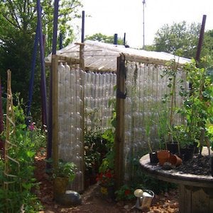 Plastic Bottle Greenhouse