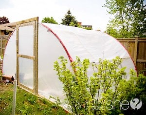 Trampoline Greenhouse