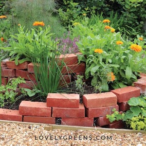 herb spiral garden