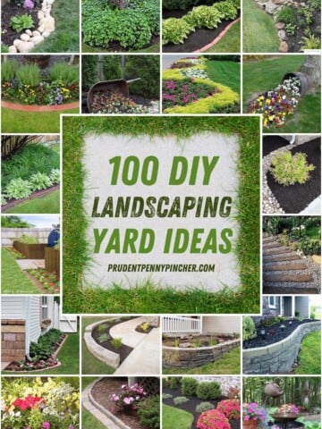 landscaping ideas