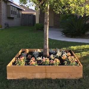 Cama de jardín elevada alrededor del árbol