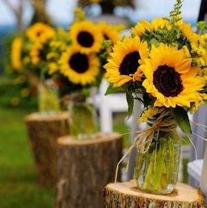 Sunflowers in jars for Wedding Aisle