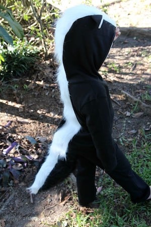 DIY Skunk Costume