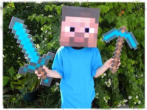 Cheap Minecraft Steve Costume