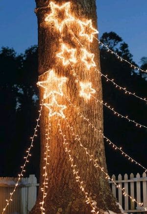 luces de estrellas en un árbol