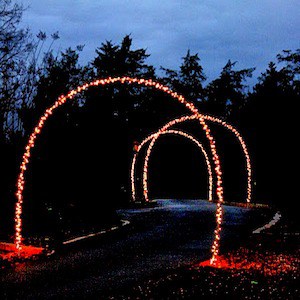 driveway christmas lights