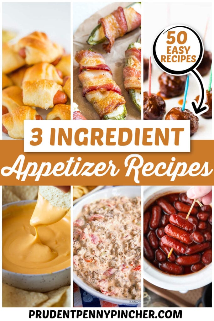 50 Easy 3 Ingredient Appetizer Recipes Prudent Penny Pincher 3-ingredient-cookies-three-new-cookie-recipes-bigger-bolder-baking