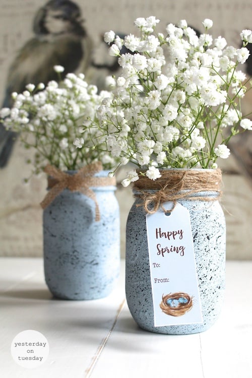 speckled robin egg mason jar