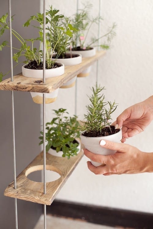 DIY Hanging Herb Garden