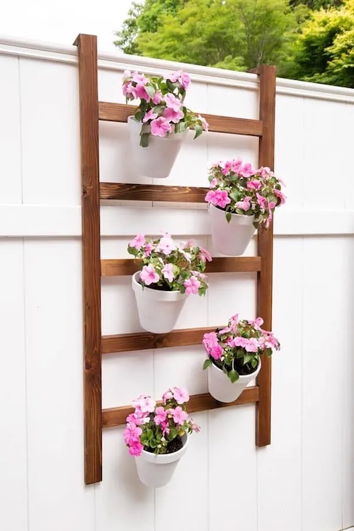 Ladder with flower pots