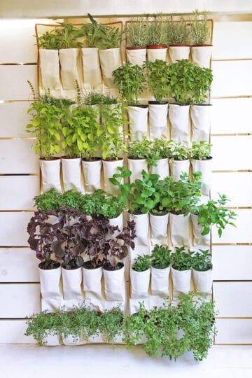 60 DIY Vertical Garden Ideas for Small Spaces - Prudent Penny Pincher