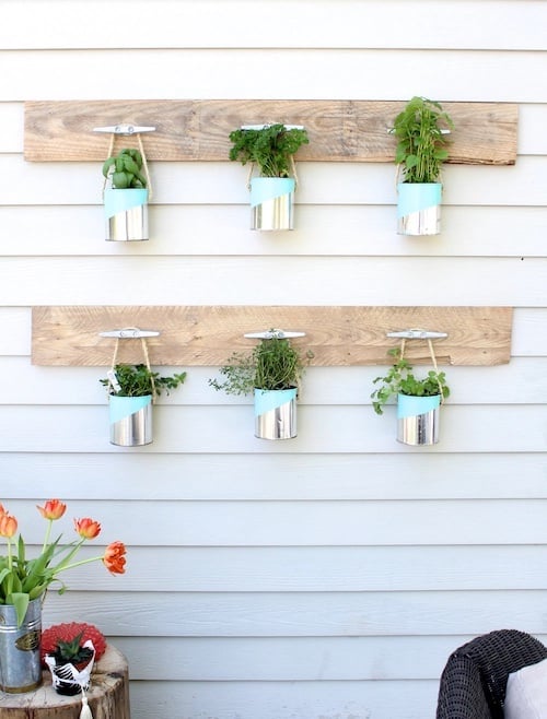 Nautical Hanging Plants