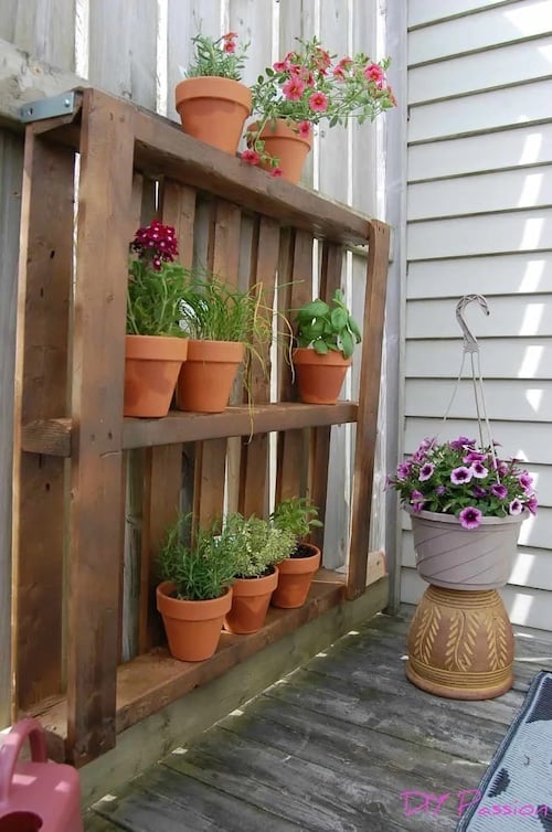 One Hour $15 Balcony Garden