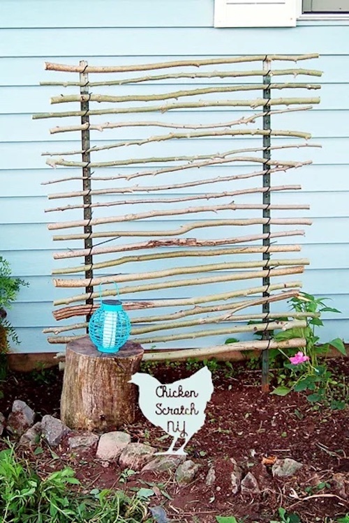 branches and T post Trellis