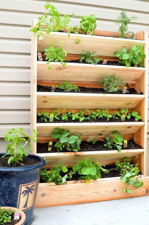 60 Diy Herb Garden Ideas Prudent Penny Pincher - Diy Herb Planter Box Indoor