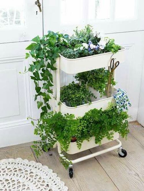 IKEA Cart Filled with Greenery