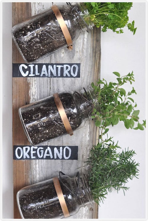 Bandejas de especias Mason Jar