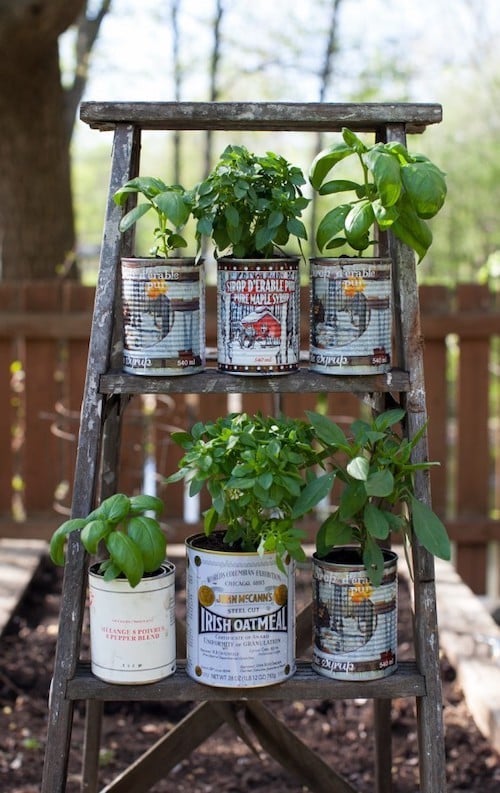 Upcycled Wood Ladder vertical Garden Display