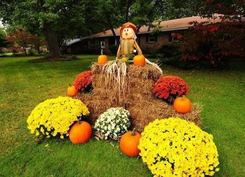  Fall Hale Bay Yard Decor Display