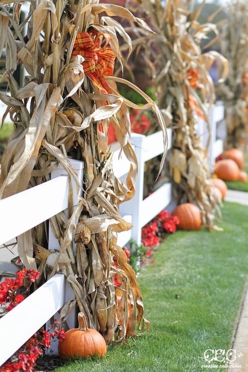 outdoor fall fence decorations with bow tied cornstalks and pumpkins