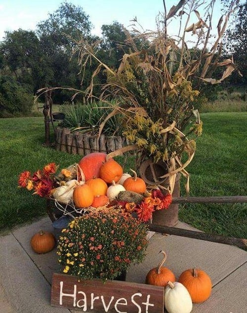 autumn harvest decorations