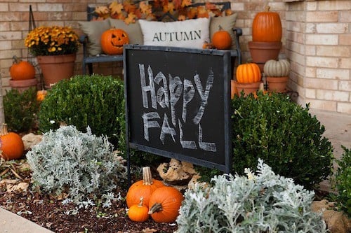 autumn flower bed 