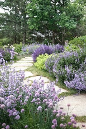 lavender and greens