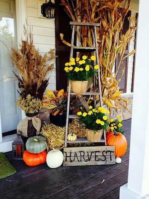 Harvest Front Door Display with mums, ladder, corn stalks and pumpkins