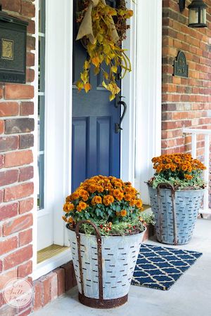 Fall Mums in Olive Bucket in front of door