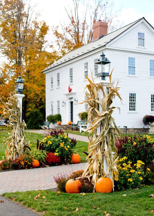 Autumn decoration ideas for the garden with corn stalks, pumpkins and autumn flowers