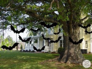 Black Bats hanging from tree