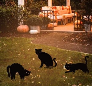 Black Cat Halloween Yard Signs 