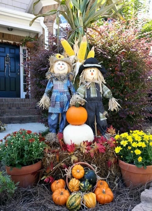 Yard Fall Display decor with scarecrows, mums and mini pumpkins and gourds