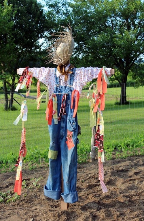 DIY scarecrow