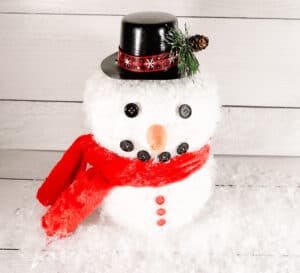 dollar tree snowman craft for adults