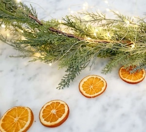 orange slice garland