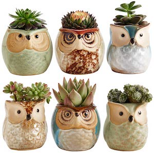 Succulent Plant Pot Christmas Gift for Mom