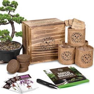 Bonsai Tree Seed Starter Kit Christmas gift for her 