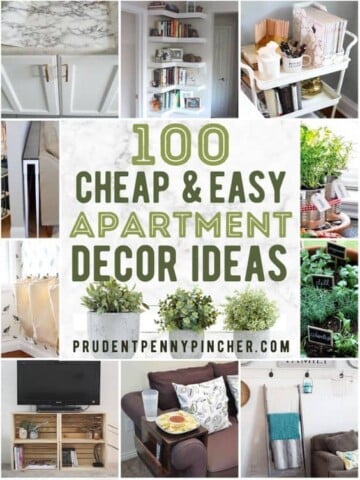 https://www.prudentpennypincher.com/wp-content/uploads/2022/01/apartment-decorating-ideas-360x480.jpeg