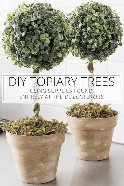 Topiary Trees dollar tree craft for adults