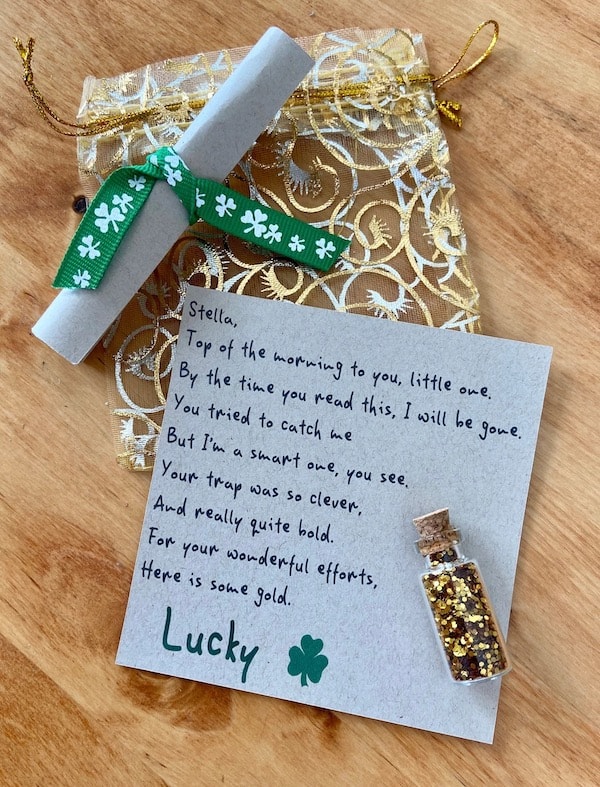 50 Best Leprechaun Trap Ideas - Prudent Penny Pincher