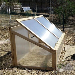 cold frame with auto vent