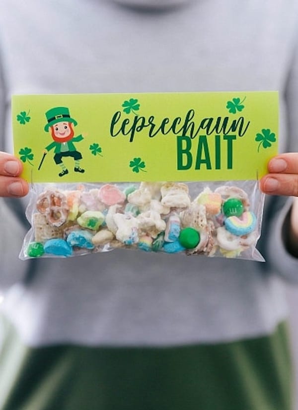 50 Best Leprechaun Trap Ideas - Prudent Penny Pincher