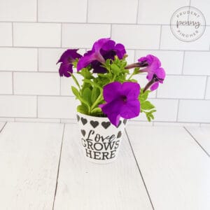 mother's day flower pot