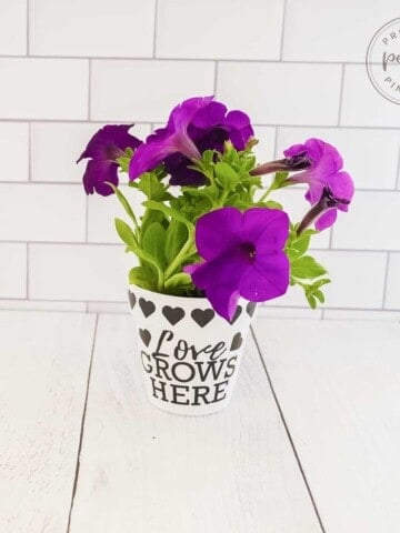 mother's day flower pot
