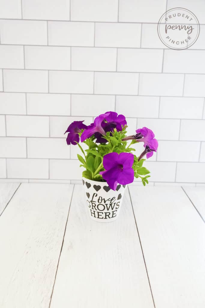 Easy DIY Mother's Day Flower Pot Prudent Penny Pincher