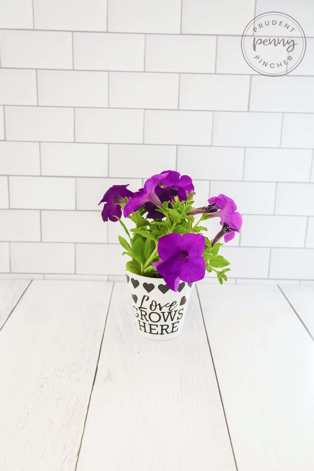 mother's day flower pot 