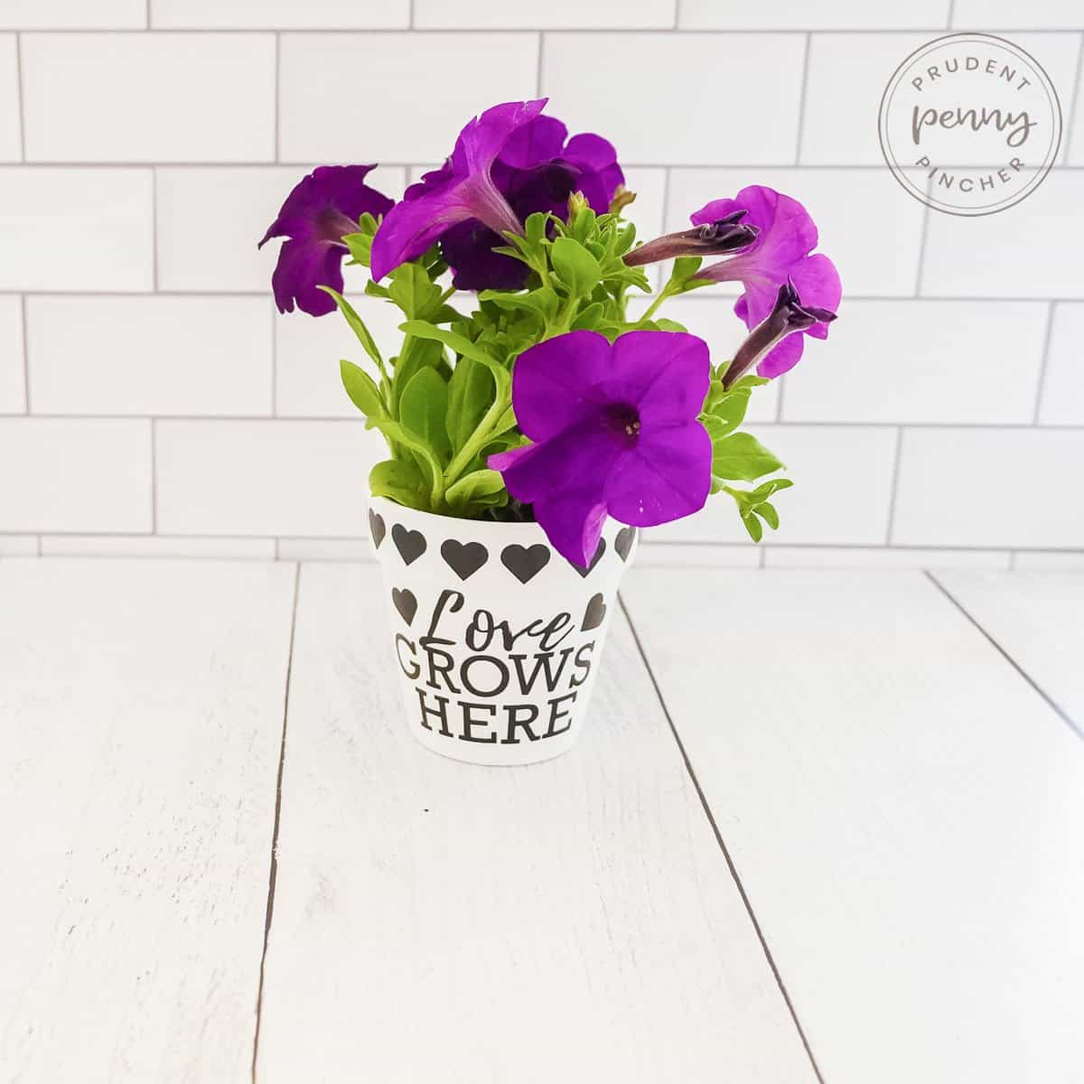 Mother’s Day Flower Pot with words "love grows here" and purple petunias