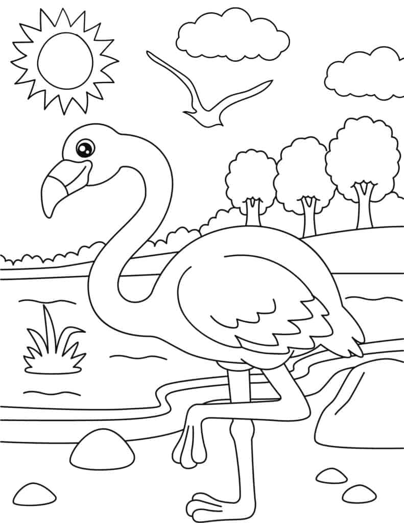 flamingo coloring page