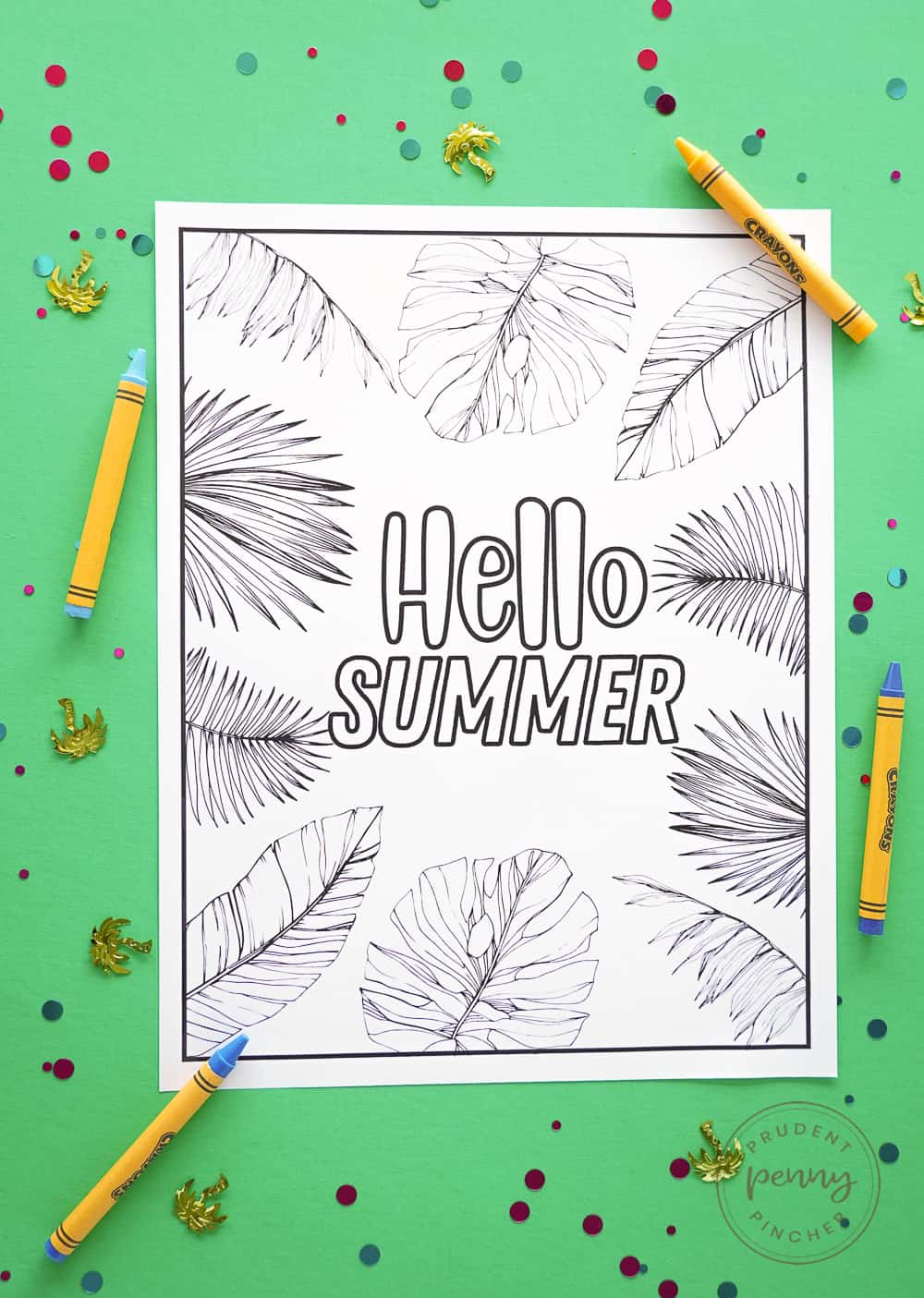 hello summer palms